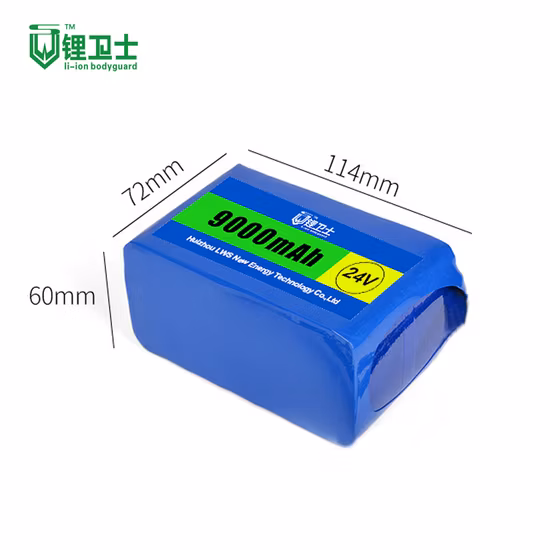 Pacco batterie agli ioni di litio da 12 V per batterie Lws 22V 24V 48V 72V 20ah LiFePO4